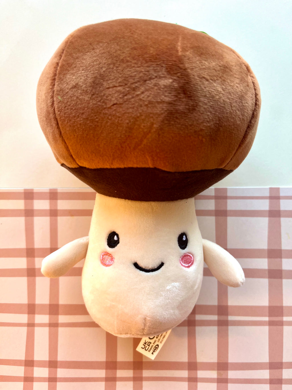 Vegetable Plushies