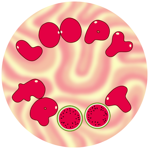 LOOPYFROOT